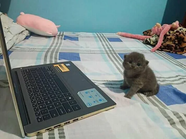 Help with computer